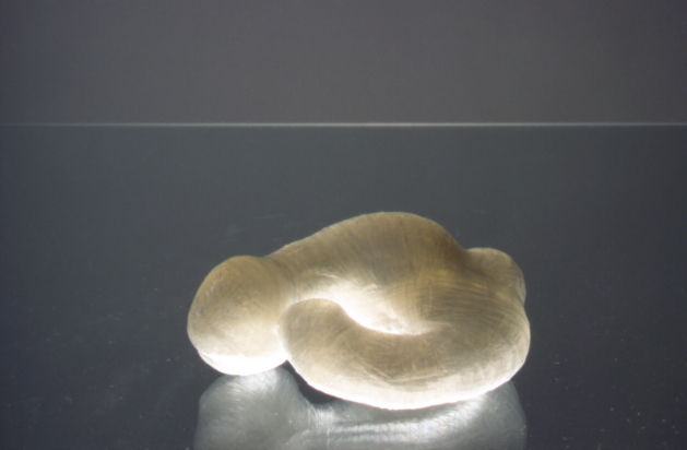 Experiment I, Sellotape, 10 x 8 x 12cm, 1995
